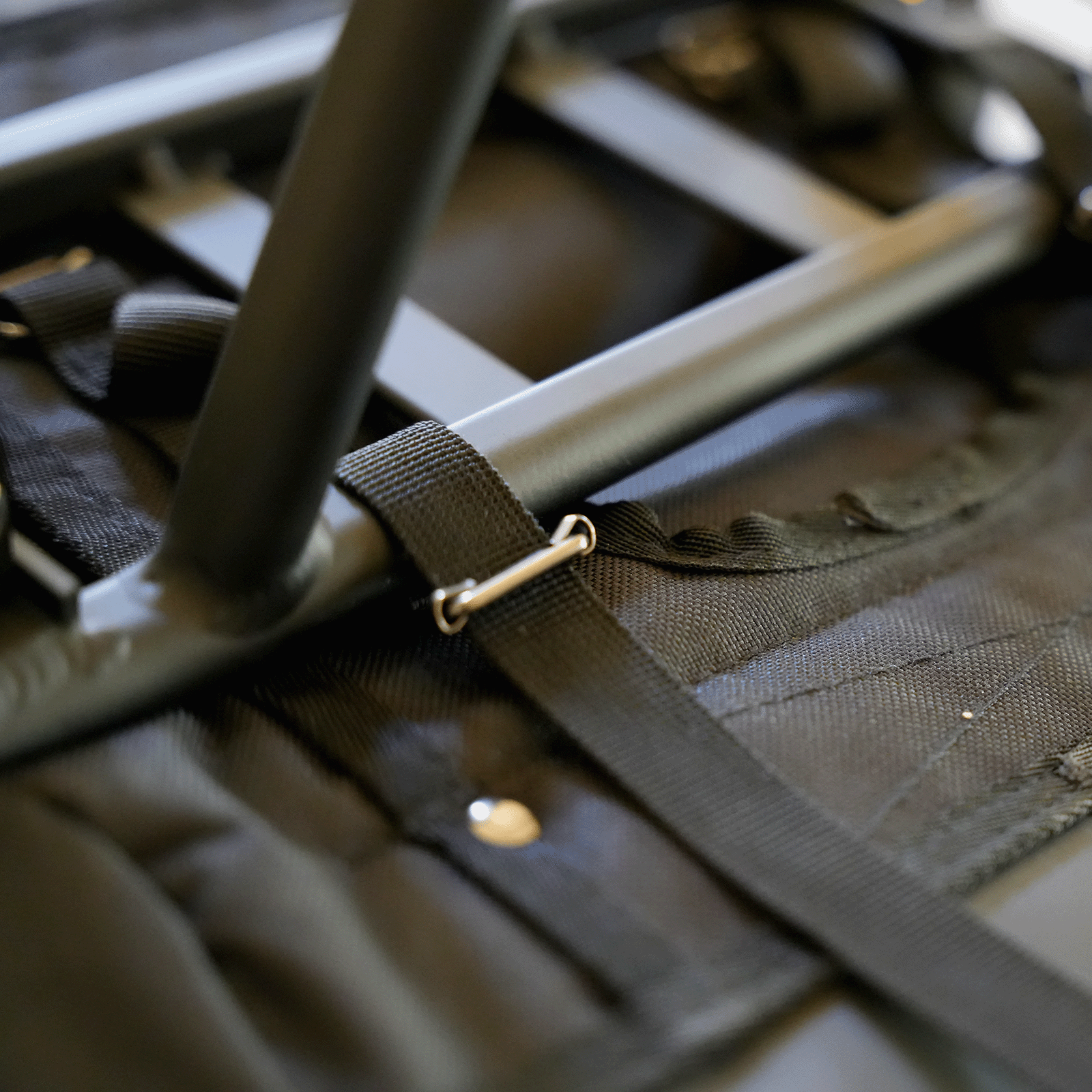 _DSC8861.gif